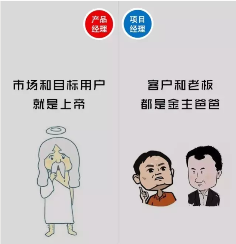 网站编程,web开发,博客