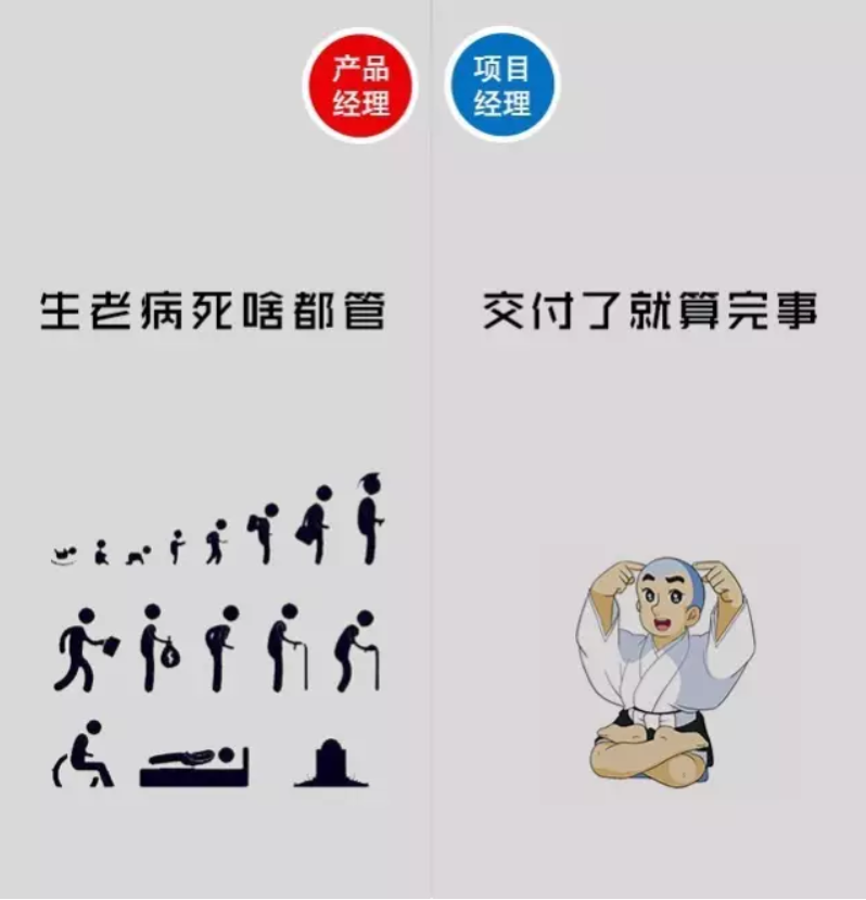 网站编程,web开发,博客