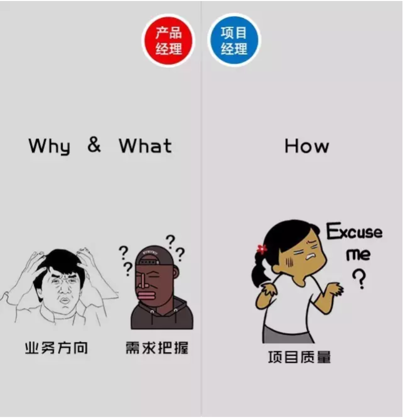 网站编程,web开发,博客